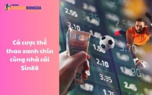 Cá cược thể thao xanh chín cùng nhà cái Sin88 