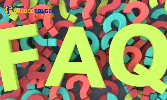 Hướng dẫn chọn nhà cái uy tín tại Trang cá cược bóng đá