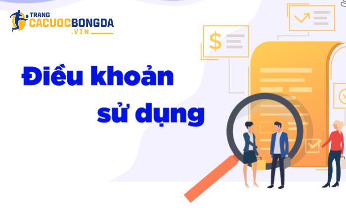 Chi tiết quy định trong điều khoản sử dụng cần biết tại nhà cái Điều khoản sử dụng bảo đảm quyền lợi cho người chơi