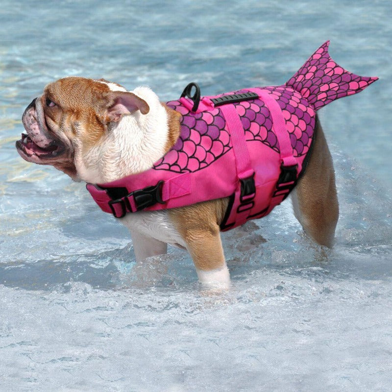 dog life jacket