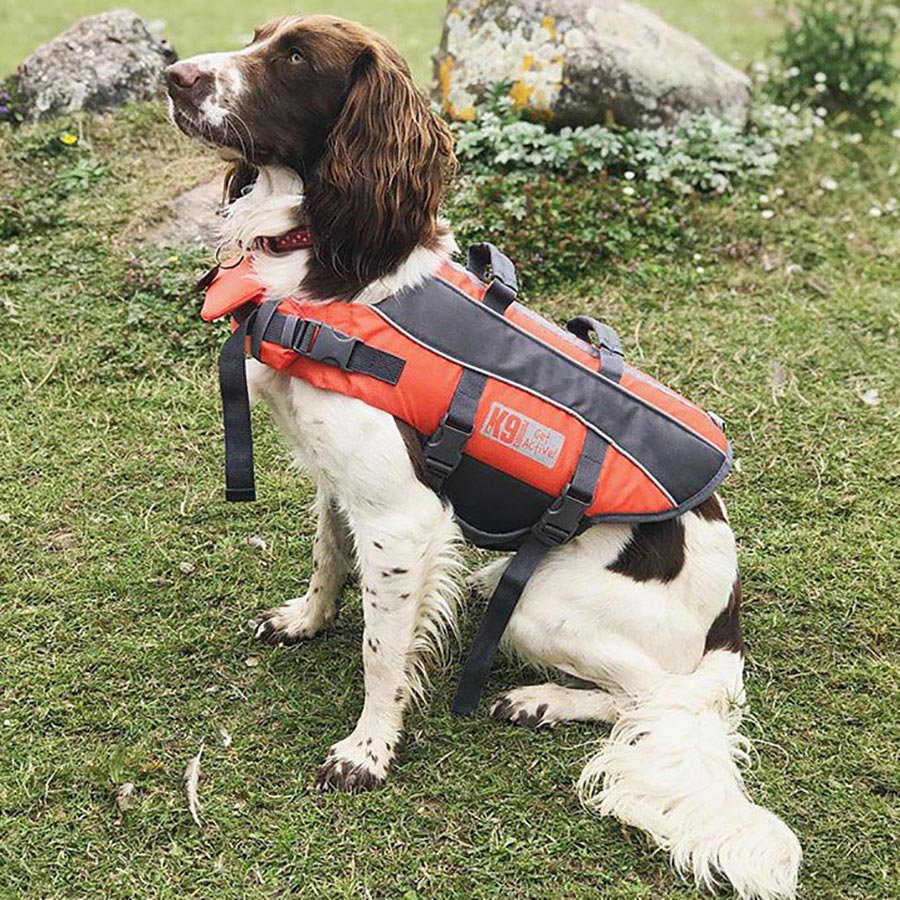 dog life jacket