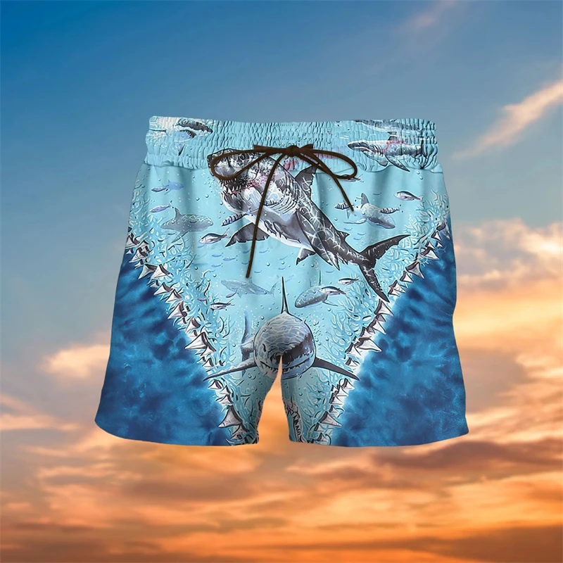 board shorts