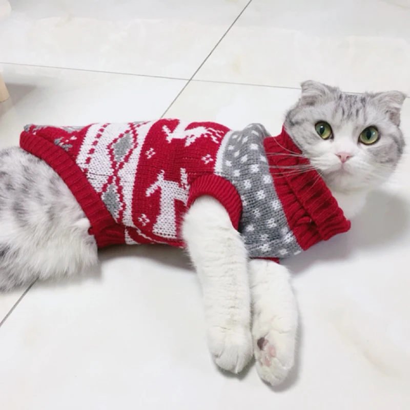 cat christmas sweater