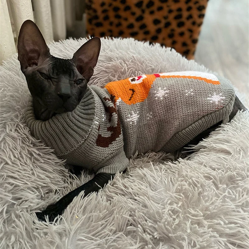 cat christmas sweater