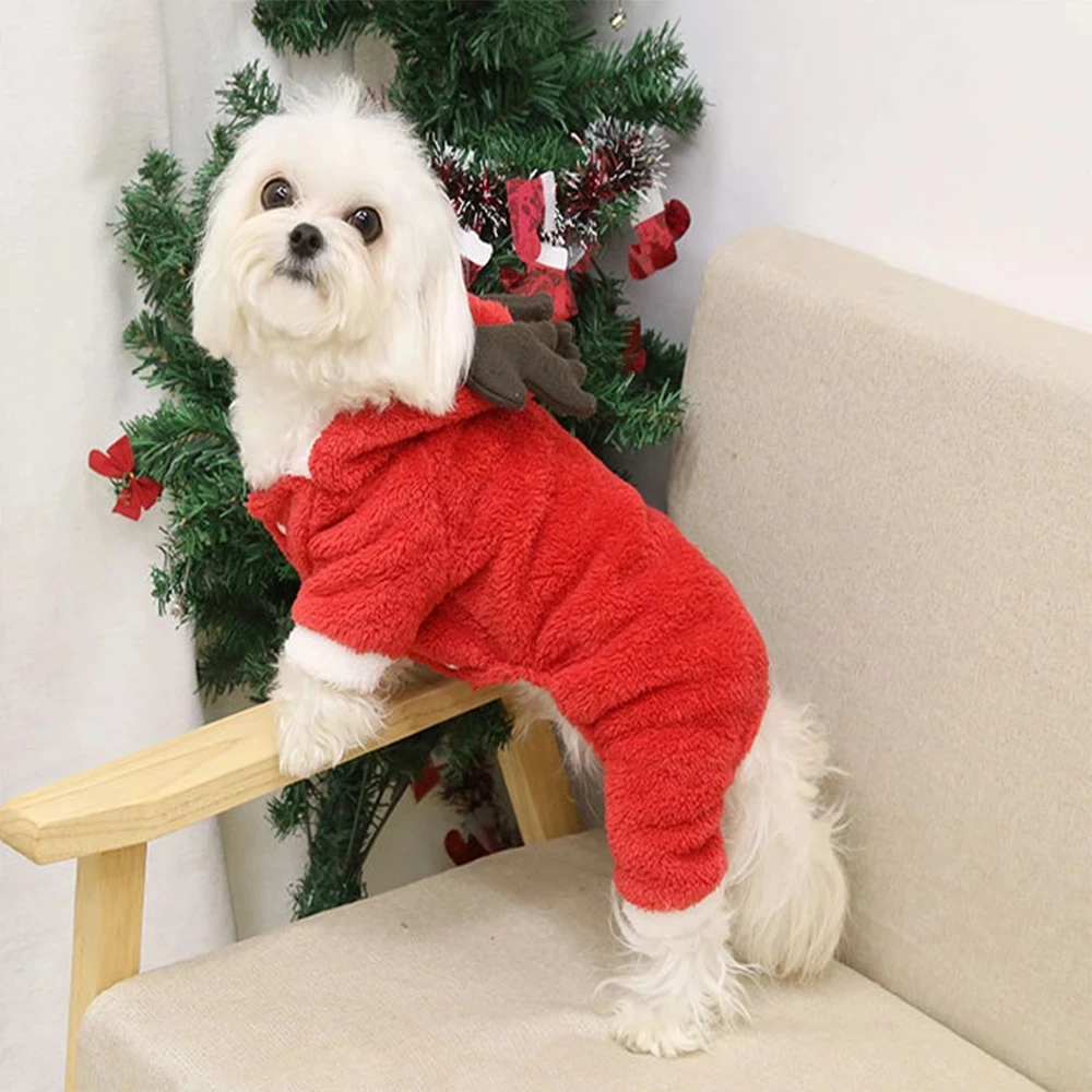 dog christmas sweater