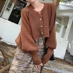 brown cardigan sweater