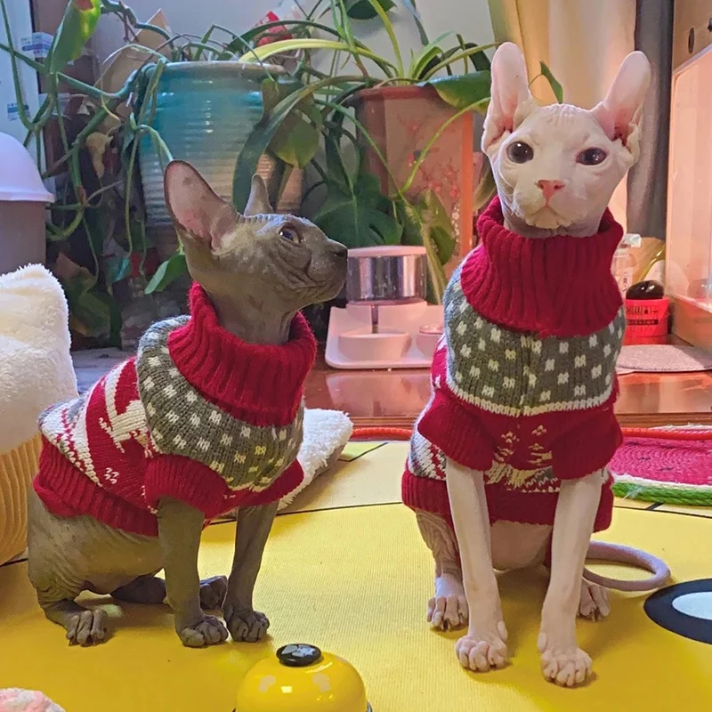cat christmas sweater