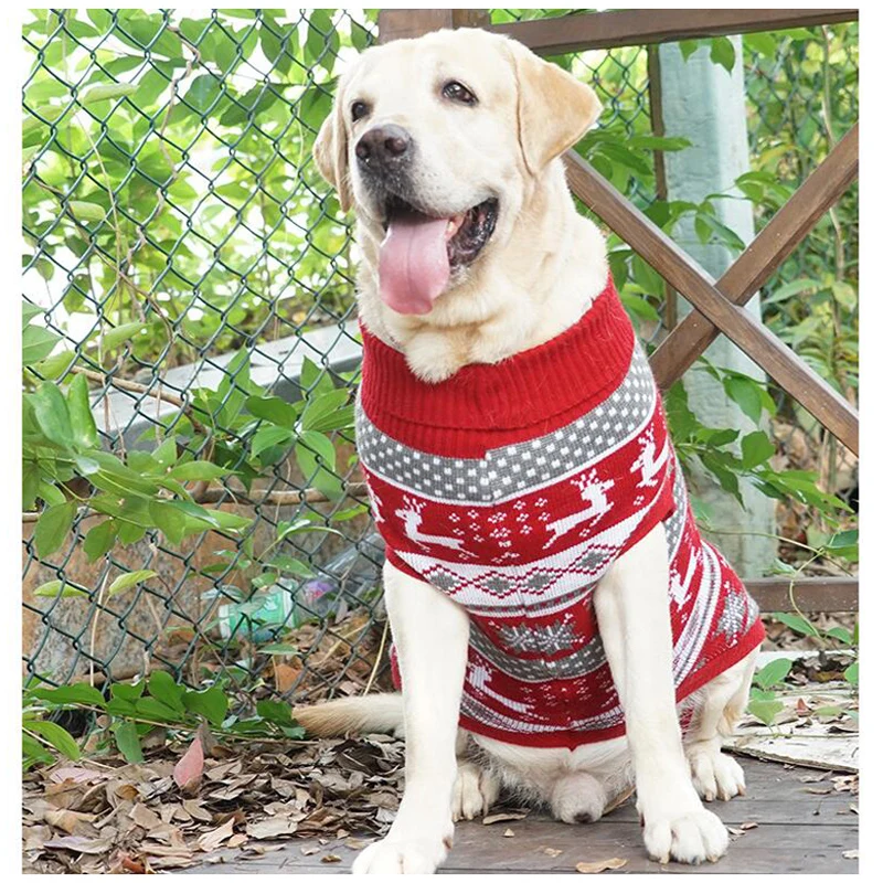 dog christmas sweater