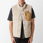 patagonia down sweater vest