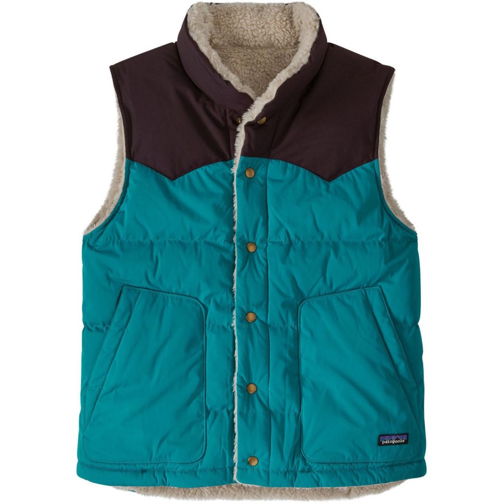 patagonia down sweater vest