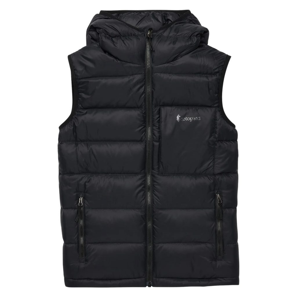 patagonia down sweater vest