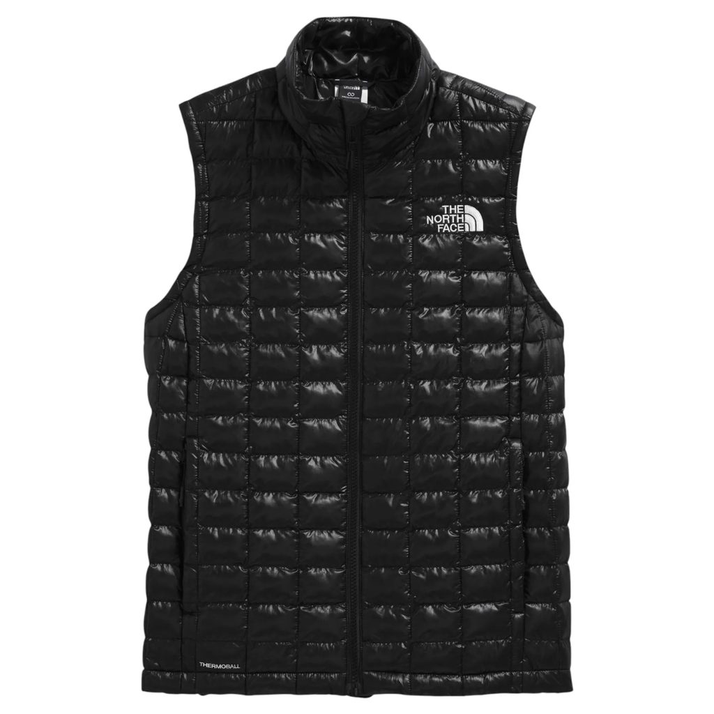 patagonia down sweater vest